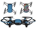 Skin Decal Wrap 2 Pack for DJI Ryze Tello Drone Tie Dye Spine 103 DRONE NOT INCLUDED