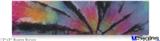 12x3 Bumper Sticker (Permanent) - Tie Dye Swirl 106